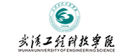 武汉工程科技学院